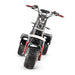 4000w-40Ah Swinging Trike Dual Drive All Terrain T7.4