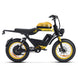 HappyRun G100 Pro 6000W Electric Bike Dual Battery