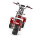 4000w-40Ah Swinging Trike Dual Drive All Terrain T7.4