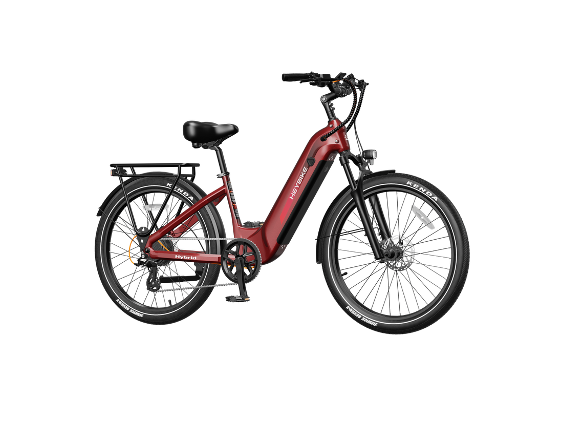 Hybrid - Image 16