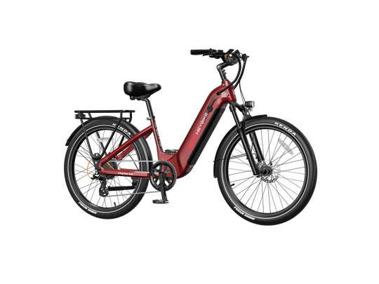 Hybrid - Image 16