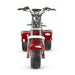 4000w-40Ah Swinging Trike Dual Drive All Terrain T7.4