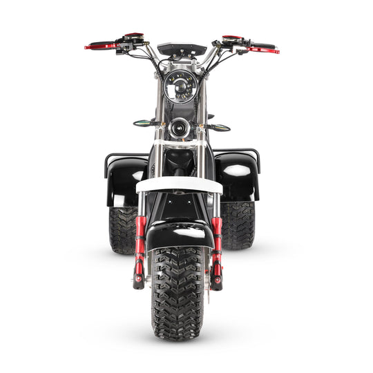 4000w-40Ah Swinging Trike Dual Drive All Terrain T7.4