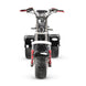 4000w-40Ah Swinging Trike Dual Drive All Terrain T7.4