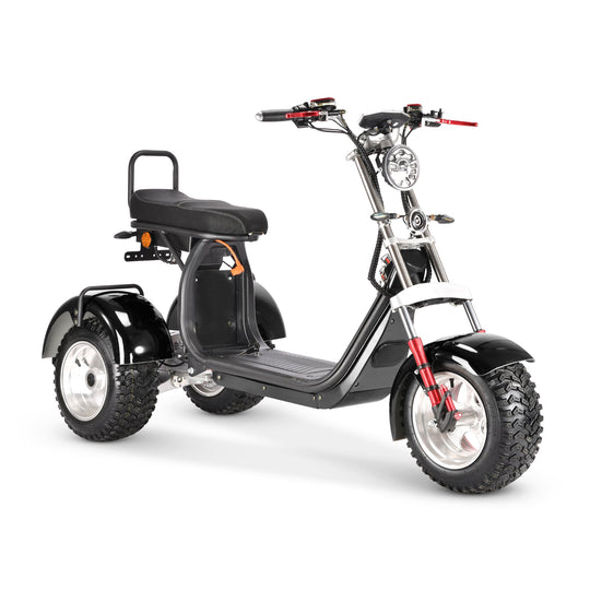 4000w-40Ah Swinging Trike Dual Drive All Terrain T7.4