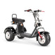 4000w-40Ah Swinging Trike Dual Drive All Terrain T7.4