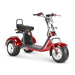 4000w-40Ah Swinging Trike Dual Drive All Terrain T7.4