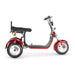 4000w-40Ah Swinging Trike Dual Drive All Terrain T7.4
