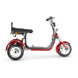 4000w-40Ah Swinging Trike Dual Drive All Terrain T7.4