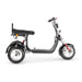 4000w-40Ah Swinging Trike Dual Drive All Terrain T7.4