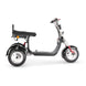 4000w-40Ah Swinging Trike Dual Drive All Terrain T7.4