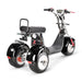 4000w-40Ah Swinging Trike Dual Drive All Terrain T7.4