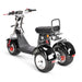 4000w-40Ah Swinging Trike Dual Drive All Terrain T7.4