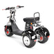 4000w-40Ah Swinging Trike Dual Drive All Terrain T7.4