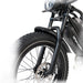 HappyRun G70 2000W Dual Battery Fast Electric Cargo Bike for Sale
