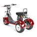 4000w-40Ah Swinging Trike Dual Drive All Terrain T7.4