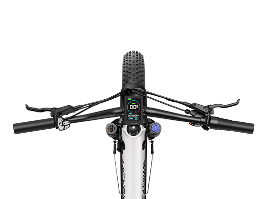 ALPHA - Image 2