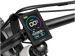 ALPHA - Image 8