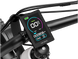 ALPHA - Image 8