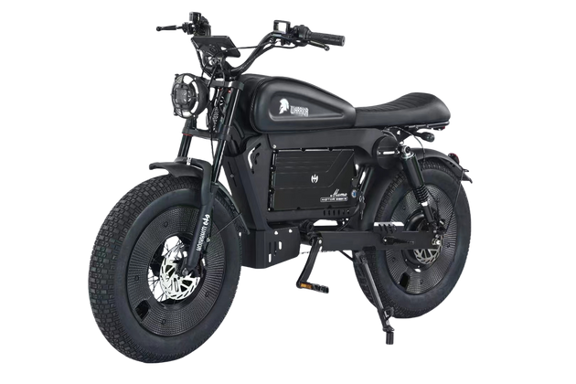 SoverSky Knight /Black Warrior Electric Fat Tire Bike