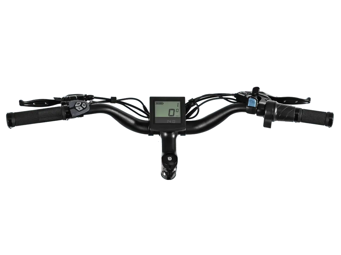 D3(Cruiser) / Long Range Fat Tire Electric Bike