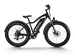 D3(Cruiser) / Long Range Fat Tire Electric Bike