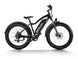 D3(Cruiser) / Long Range Fat Tire Electric Bike