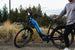 Cyrusher Path E-Bike | 59 Mi Range • 750 W Power • City Comfort - Image 4