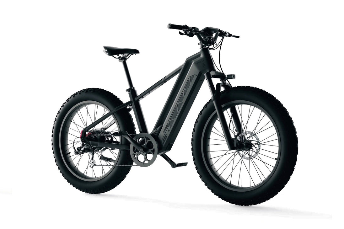 Zenith Model L5 E-Bike - Image 14