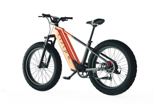 Zenith Model L5 E-Bike - Image 7