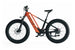 Zenith Model L5 E-Bike - Image 5