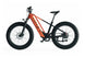 Zenith Model L5 E-Bike - Image 5