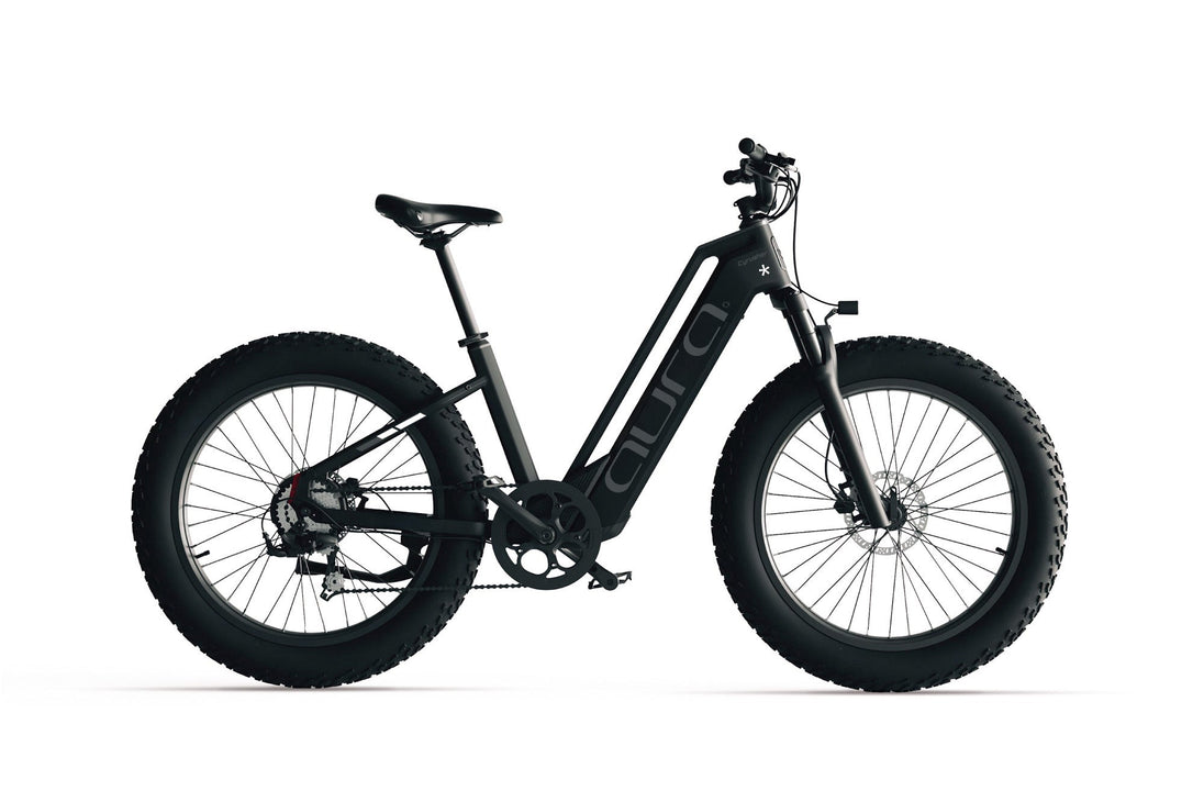 Cyrusher Aura Step-Through E-Bike - Image 15