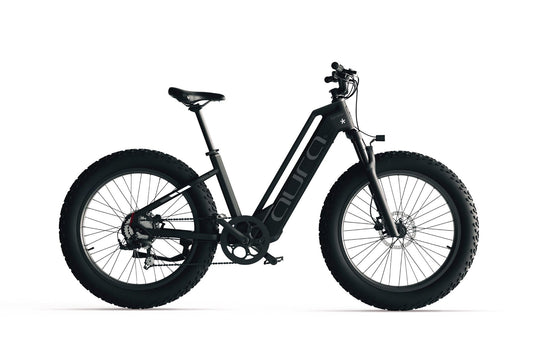 Cyrusher Aura Step-Through E-Bike - Image 15