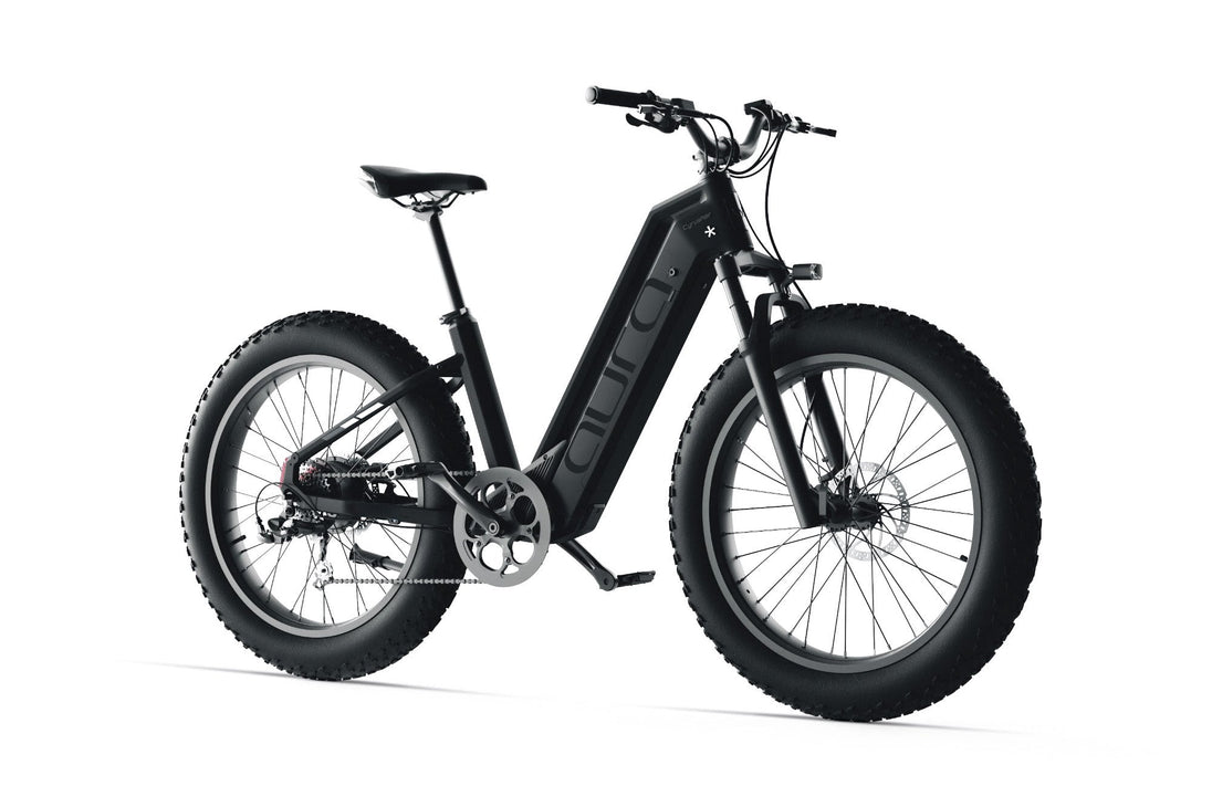 Cyrusher Aura Step-Through E-Bike - Image 12