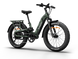 Himiway D5 2.0 Camo eBike