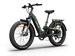 Himiway D5 2.0 Camo eBike