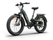 Himiway D5 2.0 Camo eBike