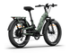Himiway D5 2.0 Camo eBike