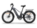 Himiway D5 2.0 eBike