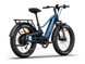 Himiway D5 2.0 eBike
