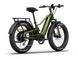 Himiway D5 2.0 eBike