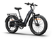 Himiway D5  2.0 ST eBike