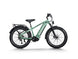 D5 Pro / All-terrain Electric Fat Bike