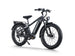 D5 Pro / All-terrain Electric Fat Bike