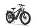 D5 Pro / All-terrain Electric Fat Bike