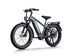 D5 Pro / All-terrain Electric Fat Bike
