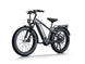D5 Pro / All-terrain Electric Fat Bike