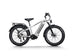 D5 Pro / All-terrain Electric Fat Bike