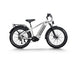 D5 Pro / All-terrain Electric Fat Bike